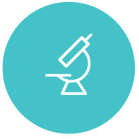 Biotechs Biotechs