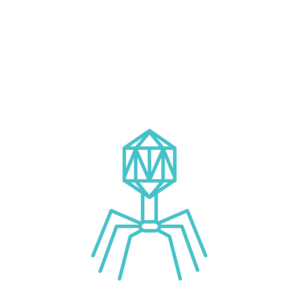 Phage Therapy Phage Therapy