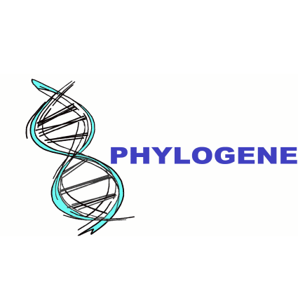 PHYLOGENE