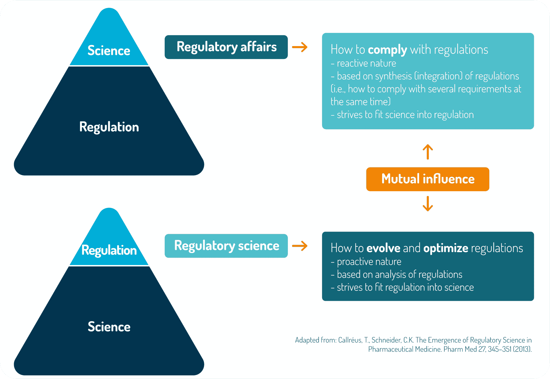 clinical research associate vs regulatory affairs