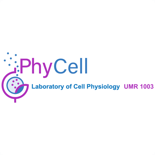 Phycell (INSERM U1003) – University of Lille